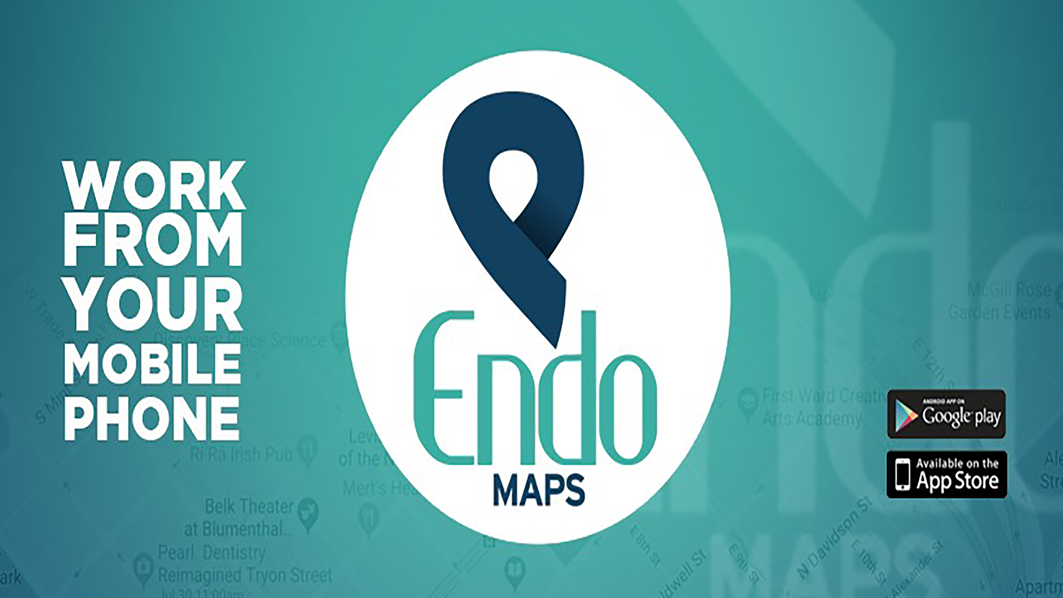 EndoMaps Professional Team - Expert GIS specialists, surveyors, and developers providing spatial intelligence solutions